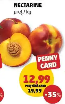 Penny Nectarine Ofertă