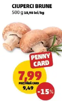 Penny Ciuperci brune Ofertă