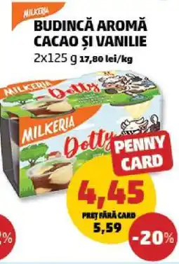Penny Budincă Aromă Cacao și Vanilie Ofertă