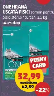 Penny ONE HRANĂ USCĂTĂ PISICI Ofertă