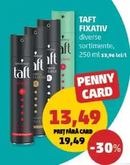 Penny TAFT FIXATIV Ofertă