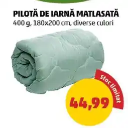 Penny Pilotă de iarnă matlasată Ofertă