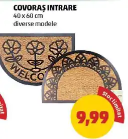 Penny Covoraș intrare Ofertă