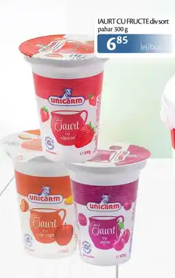 Unicarm IAURT CU FRUCTE div sort Ofertă