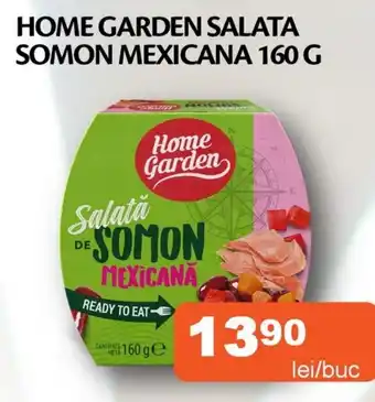 Home garden salata somon mexicana