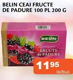 Unicarm Belin ceai fructe de padure 100 pl Ofertă
