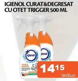 Unicarm Igienol curat&degresat cu otet trigger Ofertă