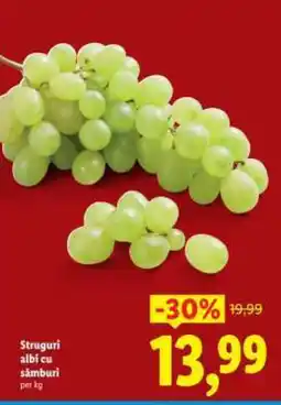 Lidl Struguri albi cu samburi Ofertă