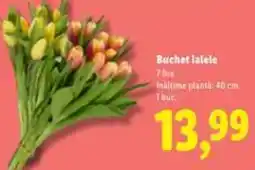 Lidl Buchet lalele Ofertă
