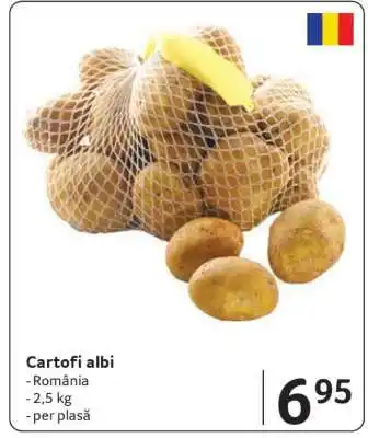 Cartofi albi