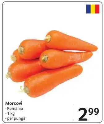 Selgros Morcovi Ofertă