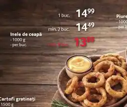 Selgros Inele de ceapă Ofertă