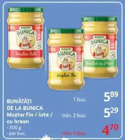 Selgros BUNĂTĂȚI DE LA BUNICA Muștar fin / iute / cu hrean Ofertă