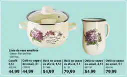 Selgros Carafă 2,5 l Ofertă