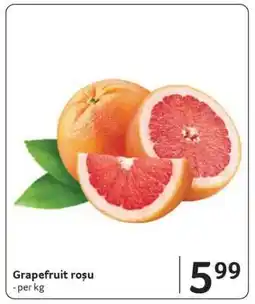 Selgros Grapefruit roşu Ofertă