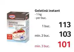 Selgros Gelatină instant Ofertă