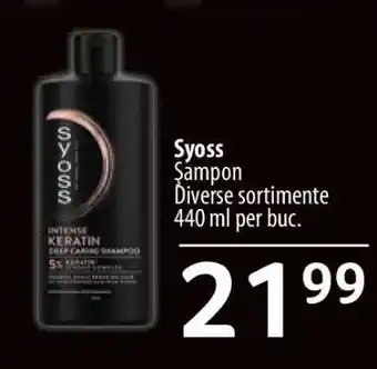 Selgros SYOSS Ofertă