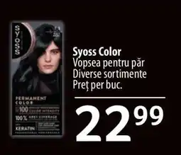 Selgros SYOSS COLOR Ofertă