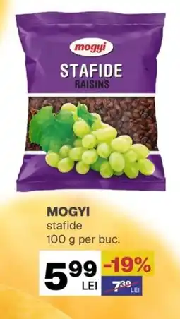 Annabella MOGYI stafide Ofertă