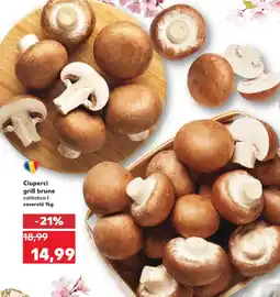 Kaufland Ciuperci grill brune Ofertă