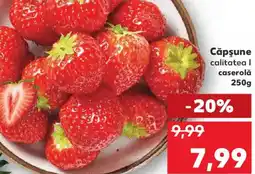 Kaufland Căpşune Ofertă