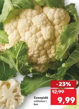 Kaufland Conopidă Ofertă