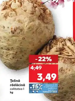 Kaufland Ţelină rădăcină Ofertă