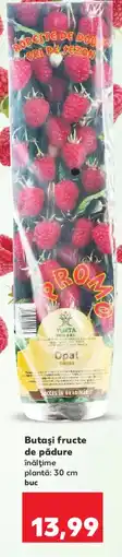Kaufland Butaşi fructe de pădure Ofertă