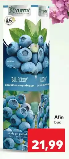 Kaufland Afin Ofertă