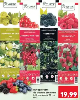 Kaufland Butaşi fructe de pădure premium Ofertă