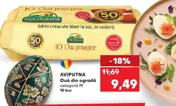 Kaufland AVIPUTNA Ouă din ogradǎ Ofertă