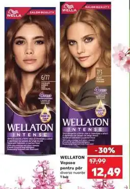 Kaufland WELLATON Vopsea pentru păr Ofertă