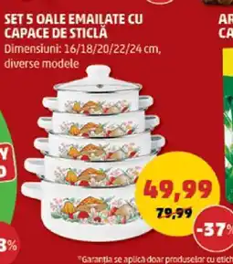 Penny Set 5 oale emailate cu capace de sticlă Ofertă