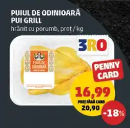 Penny Puiul de Odinioară Pui Grill Ofertă