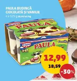 Penny PAULA BUDINCĂ ciocolată și vanilie Ofertă
