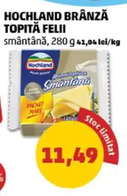 Penny HOCHLAND Brânză topită felii Ofertă