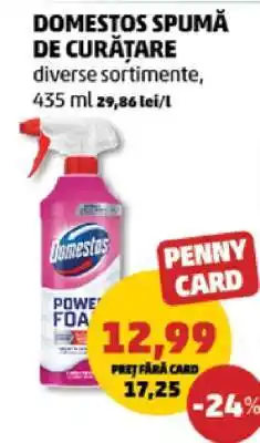Penny Domestos Spumă de Curățare Ofertă