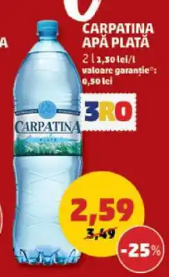 Penny Carpatina Apă Plată Ofertă