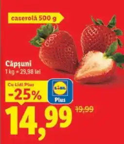 Lidl Căpşuni Ofertă