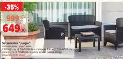 Carrefour Set mobilier “Jungle” Ofertă