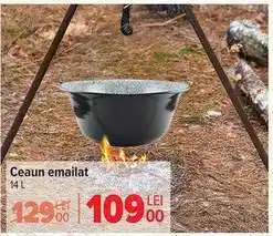 Carrefour Ceaun emailat Ofertă