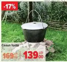 Carrefour Ceaun fontă 7L Ofertă