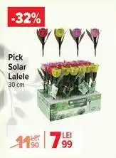 Carrefour Pick Solar Lalele Ofertă
