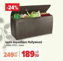 Carrefour Ladă depozitare Hollywood Ofertă