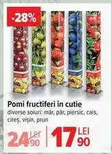 Carrefour Pomi fructiferi în cutie Ofertă