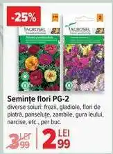 Carrefour Semințe flori PG-2 Ofertă