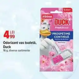 Carrefour Odorizant vas toaletă Duck Ofertă