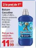 Carrefour Balsam Coccolino Ofertă