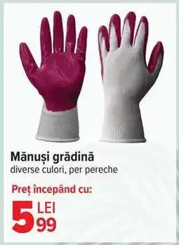 Carrefour Mănuși grădină Ofertă