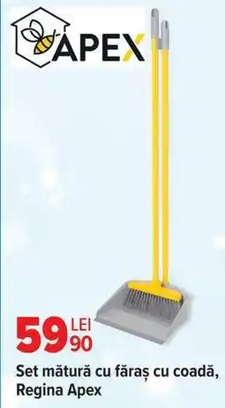 Carrefour Set mătură cu făraș cu coadă, Regina Apex Ofertă
